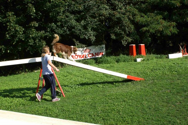 agility 2011-08